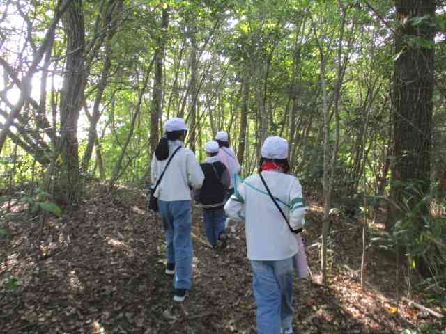 1107　4年やまのこウォークラリー