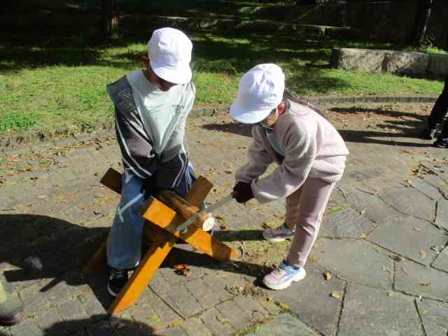 1107　4年やまのこ丸太切り